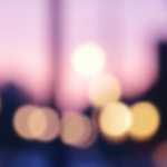 山梨県　甲府市で見かけた、号泣女子　2026年03月24日