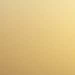 香川県　高松市で見かけた、号泣女子　2026年03月30日